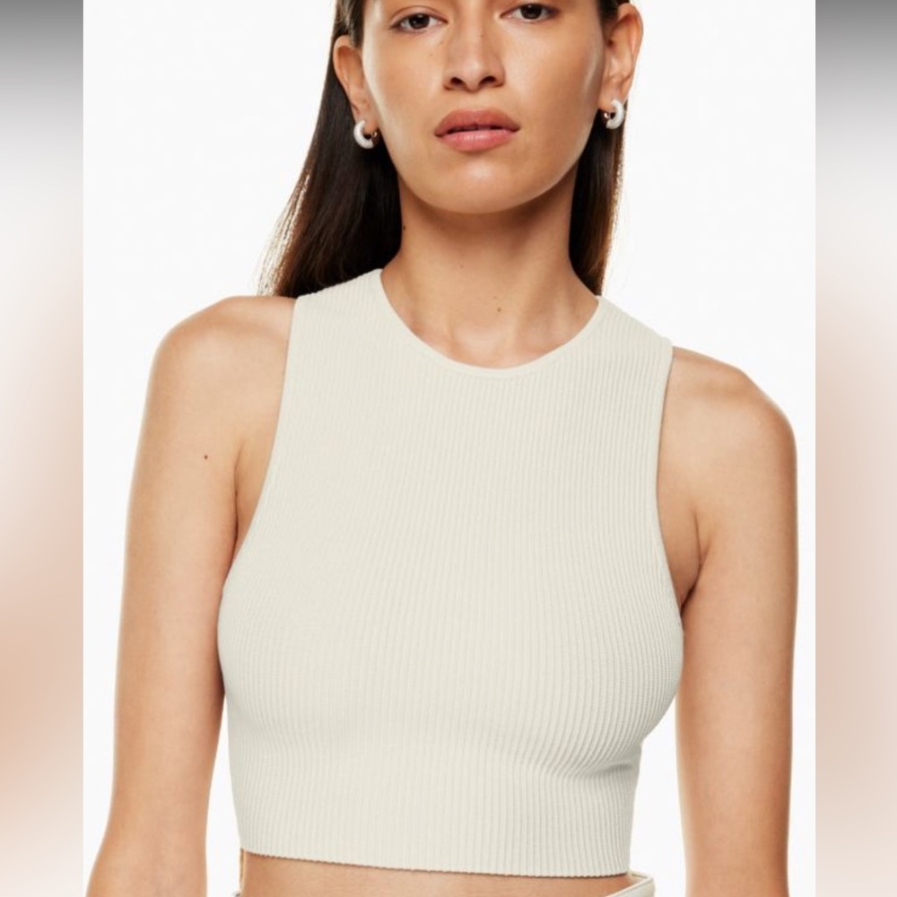 Aritzia: Gently worn babaton Aritzia summer crop top
